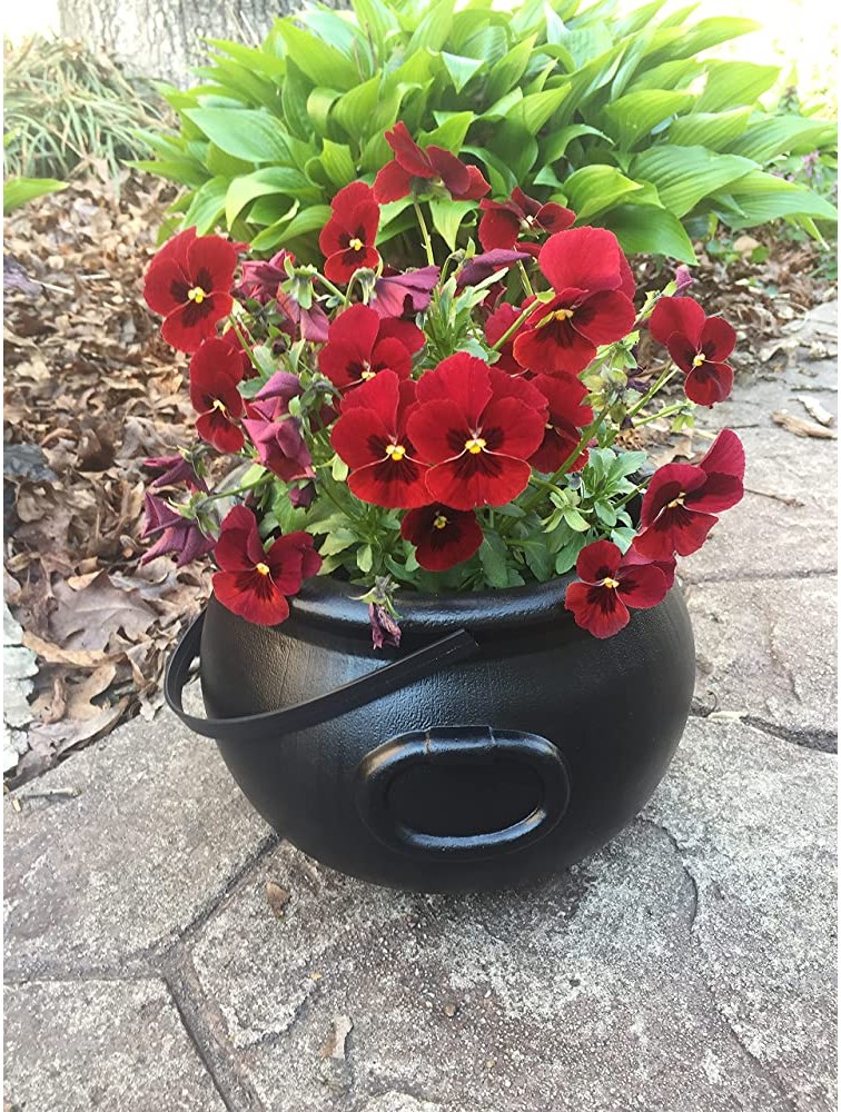 BERT'S Garden Black Plastic Planter Antique Looking Cauldron Pot 9 with Handle - BMKE868MM