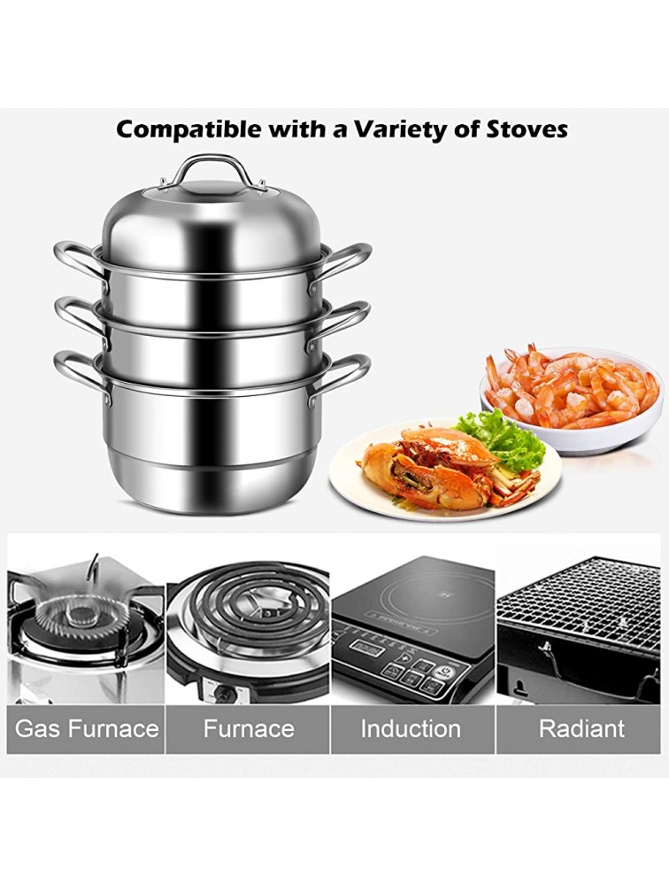 COSTWAY 3-Tier Stainless Steel Steamer 11'' Multi-Layer Cookware Pot with Handles on Both Sides with Tempered Glass Lid Work with Gas Grill Stove Top Dishwasher Safe Includes 2 Steaming Septa - B4SCNNWEG