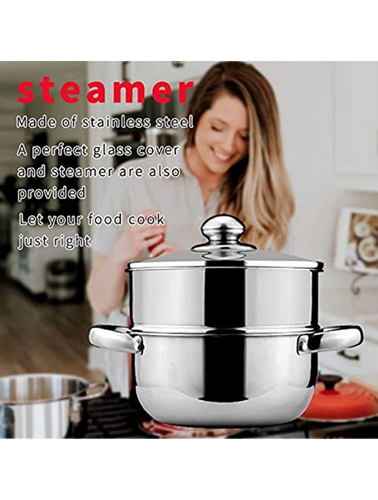 LILEER Stainless Steel Pan 2 Tier Steamer 24 cm Steaming Pot Cooking Pot Vegetable Steamer Glass Lid - B1OOVU1DV