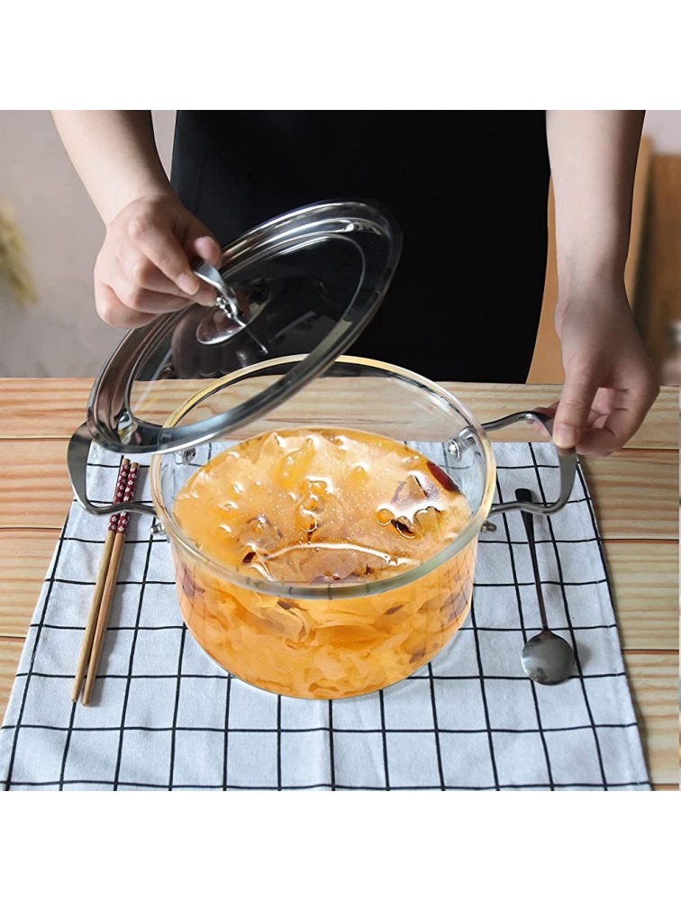 Glass Saucepan with Lid for Cooking Glass Pot Stovetop 5L Heat Resistant ABHOME Stainless Steel Double Handles Stovetop Clear Glassware for Cooking Milk Pasta & Baby Food 5 Liter … - BPBL31GP4