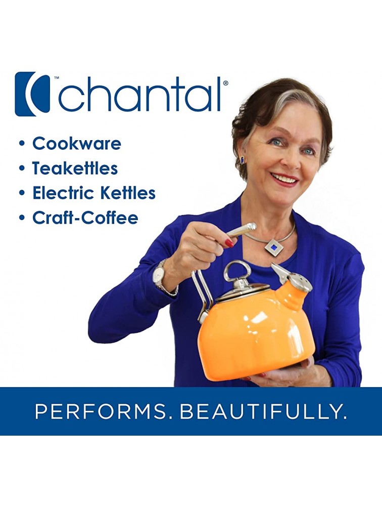Chantal Oolong 1.8 quart Enamel on Steel Whistling Teakettle Fog Grey - BJ0XSIIMW