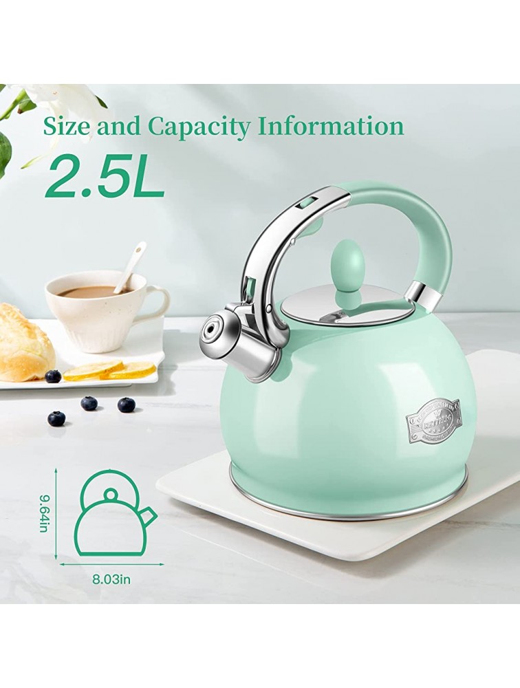 RETTBERG Tea Kettle for Stovetop Whistling Tea Kettles Modern Green Stainless Steel Teapots 2.64 Quart Mint Green - BYJ84GGW9