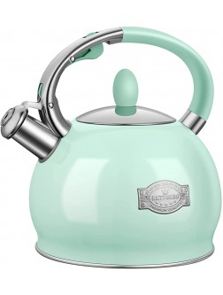 RETTBERG Tea Kettle for Stovetop Whistling Tea Kettles Modern Green Stainless Steel Teapots 2.64 Quart Mint Green - BYJ84GGW9