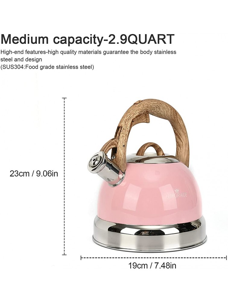 Tea Kettle -2.5 Quart Stovetop Whistling Teapot Stainless Steel Tea Pots for Stove Top Whistle Tea Pot - BW7GX6IG5