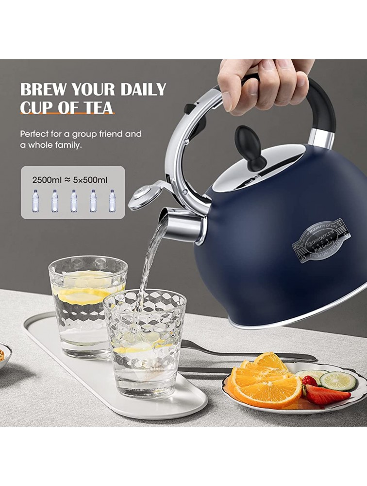 Tea Kettle for Stovetop,Vintage Whistling Tea Kettles 2.64 Quart Triple Layer Stainless Steel Teapots For Stove Top Stove kettles with Cool Grip - BJZGPZQRR