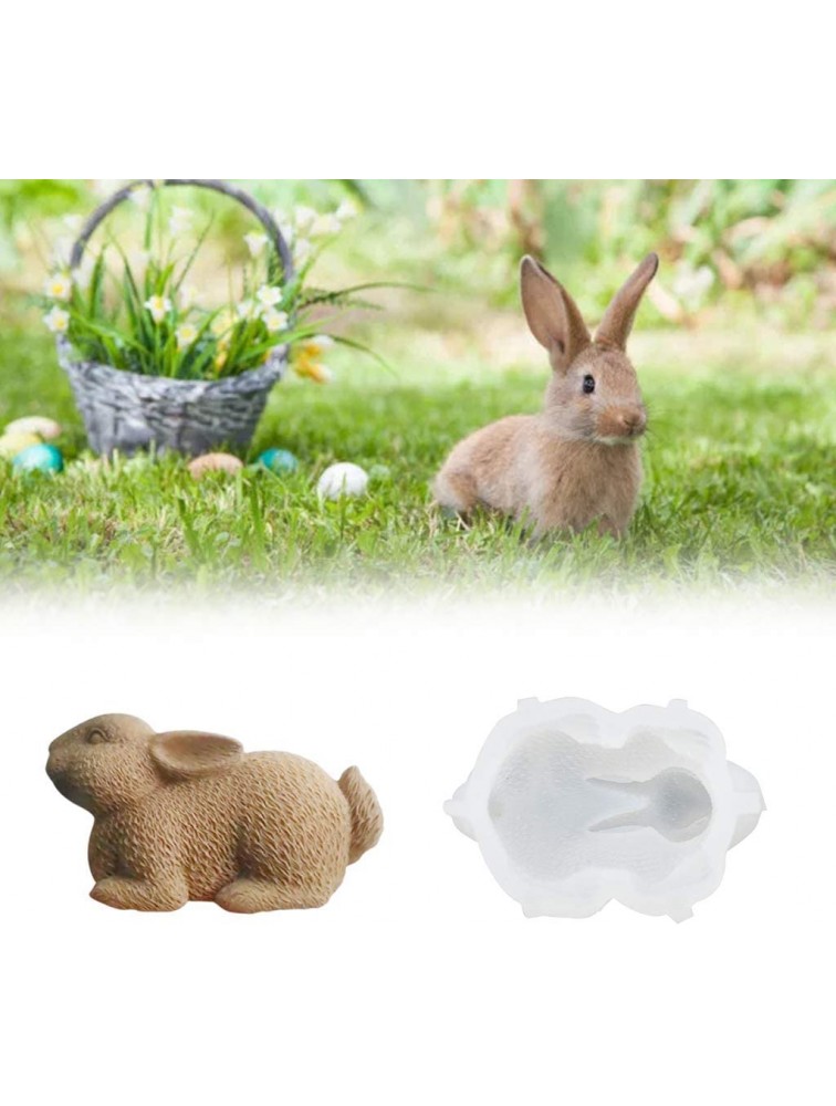 Bunny Holding Egg Cake Pan 3D Shape BPA Free and Non-Stick Rabbit Silicone Bakeware Mold for Baking Easter Molds Day Party Mousse Cake Dessert Specialty Novelty Cake PansRandom Color - BOMX4JFUD