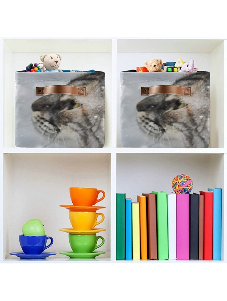 Rectangular Storage Boxes Silver Tabby Maine Coon Cat Standing Fabric Storage Bin Organizer,collapsible Storage Basket For Toy Clothes,books.shelves Basket - BM3H8A1TQ