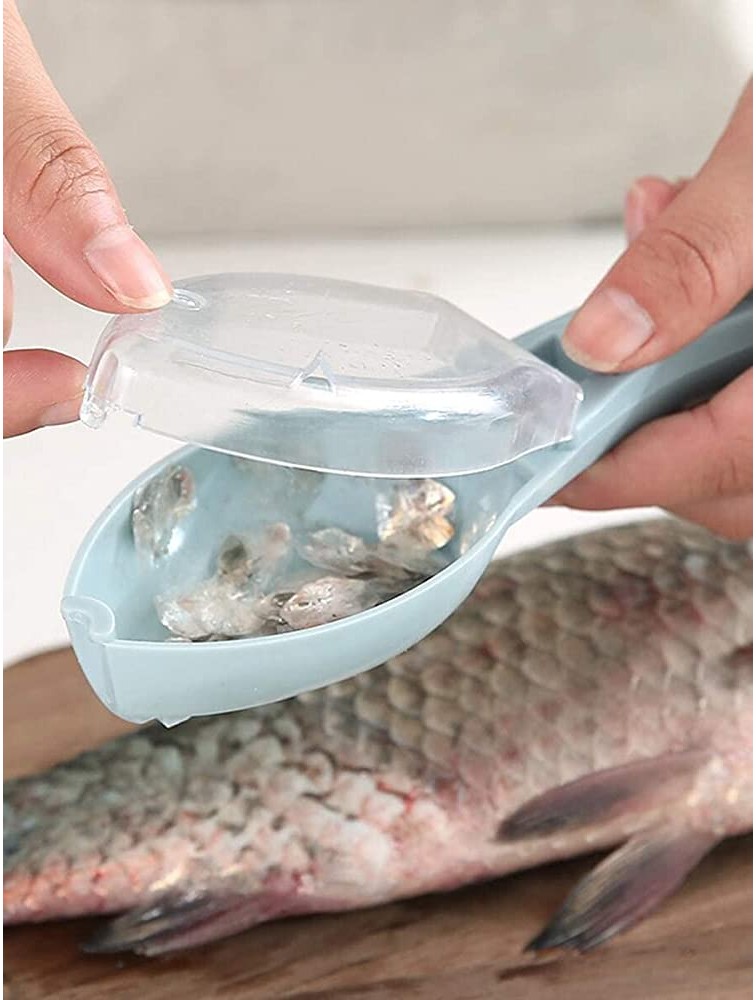 Z-Chen Kitchen tools 1pc Random Fish Scale Remover With Lid Color : Multi Size : One-size - B7QU2NWO4